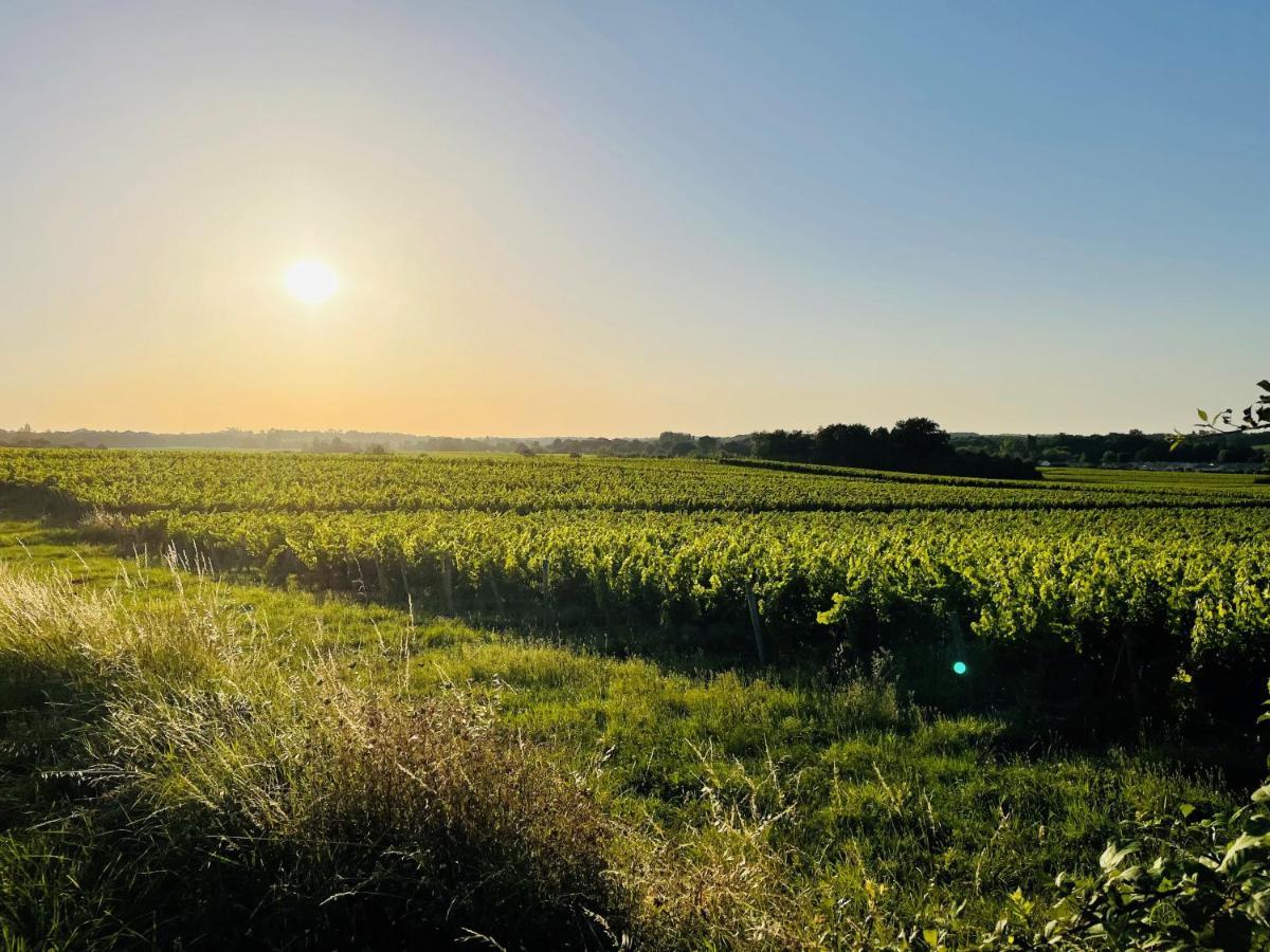 La Vigne D'Or Bed & Breakfast Teuillac Екстериор снимка
